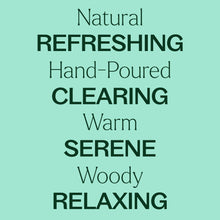 Load image into Gallery viewer, Balsam Noir Naturally Scented Candle