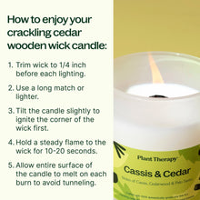 Load image into Gallery viewer, Cassis & Cedar Naturally Scented Candle