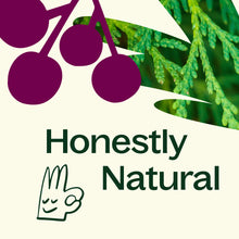 Load image into Gallery viewer, Cassis & Cedar Naturally Scented Candle