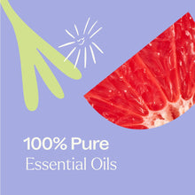 Load image into Gallery viewer, Cleaning Duo: Defender + Forest Green Sleeve