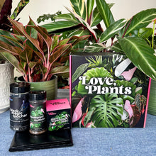 Load image into Gallery viewer, Houseplant Repotting Kit