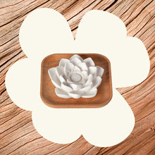 Load image into Gallery viewer, Passive Lotus Diffuser