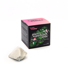 Load image into Gallery viewer, Houseplant Repotting Kit