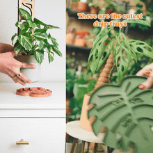 Load image into Gallery viewer, Tera Sausr - Leaf-shaped Pot Saucer - Drip tray for houseplants - Humidity tray