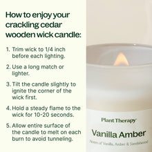Load image into Gallery viewer, Vanilla Amber Naturally Scented Candle