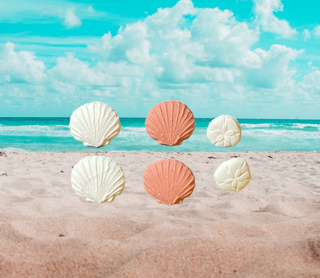 Sand Dollar and Seashell Studs