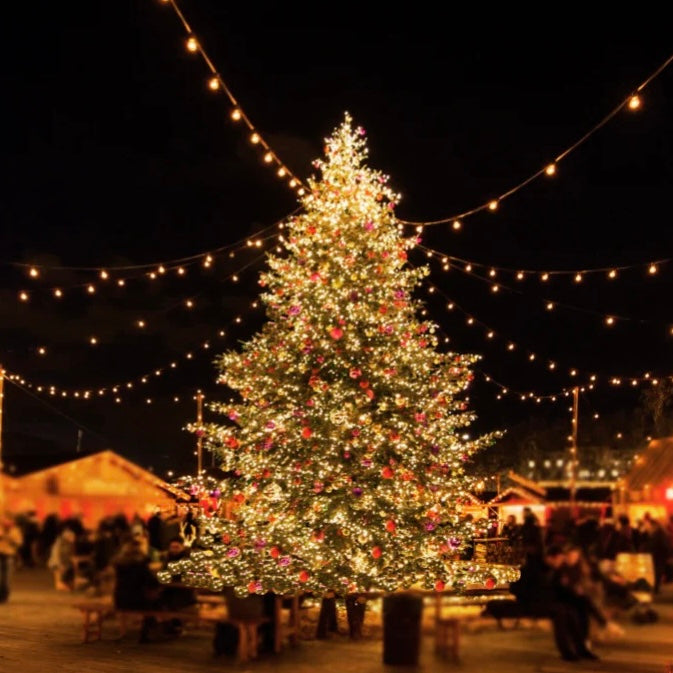 Seekonk Tree Lighting