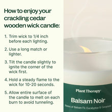 Load image into Gallery viewer, Balsam Noir Naturally Scented Candle
