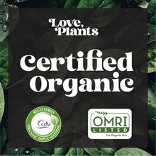 Load image into Gallery viewer, Houseplant Care Kit
