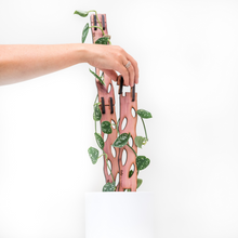 Load image into Gallery viewer, Zella - Wooden Extendable Plant Support
