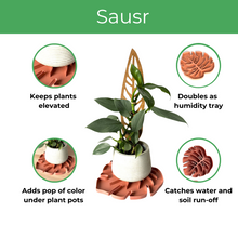 Load image into Gallery viewer, Tera Sausr - Leaf-shaped Pot Saucer - Drip tray for houseplants - Humidity tray
