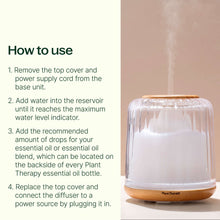 Load image into Gallery viewer, Serenity Glass Diffuser
