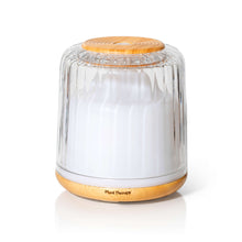 Load image into Gallery viewer, Serenity Glass Diffuser
