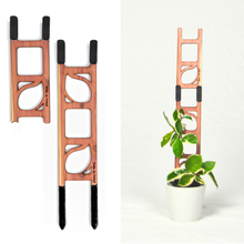 Load image into Gallery viewer, Stella - Modular ladder support
