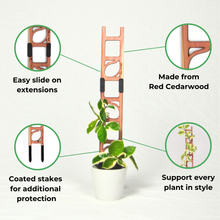 Load image into Gallery viewer, Stella - Modular ladder support
