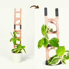 Load image into Gallery viewer, Stella - Modular ladder support
