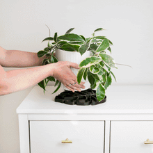 Load image into Gallery viewer, Tera Sausr - Leaf-shaped Pot Saucer - Drip tray for houseplants - Humidity tray
