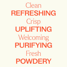 Load image into Gallery viewer, White Linen Spray
