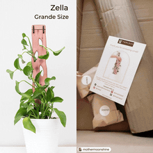 Load image into Gallery viewer, Zella - Wooden Extendable Plant Support
