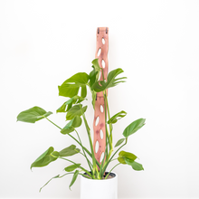 Load image into Gallery viewer, Zella - Wooden Extendable Plant Support
